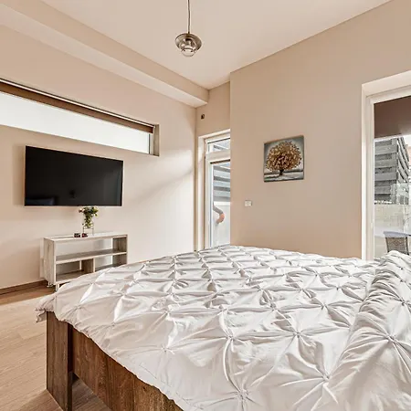Ari Central Grand Apartments - Luxurious Stay Arad Exterior photo
